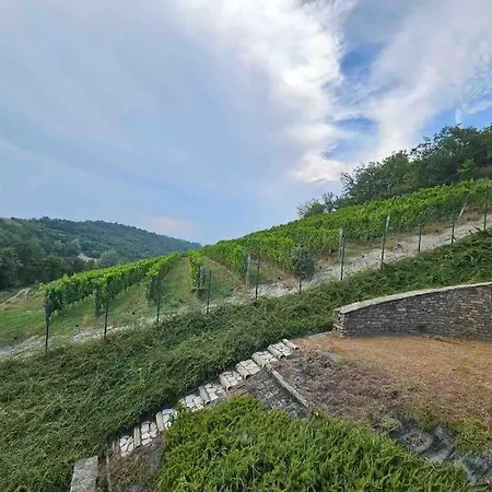 Lilly's And Vineyard - Prestigious Property Serravalle delle Langhe